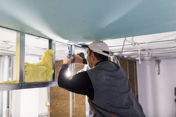 Types of Insulation We Offer in Windsor, MO