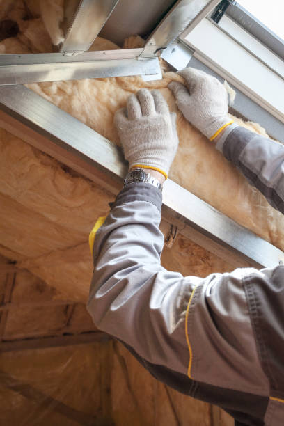 Professional Insulation in Windsor, MO