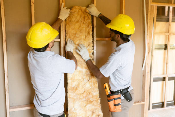  Windsor, MO Insulation Pros