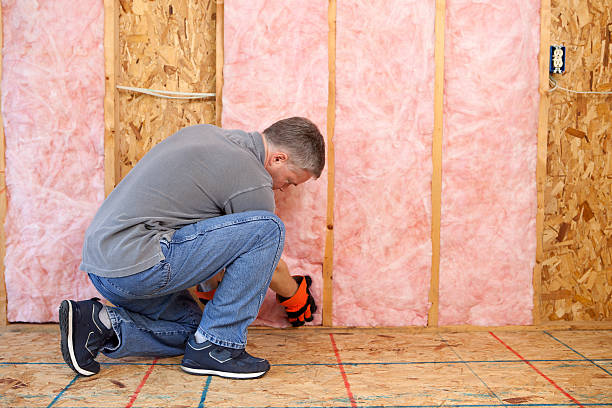 Best Spray Foam Insulation  in Windsor, MO